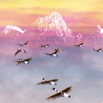 the-animals-arrive